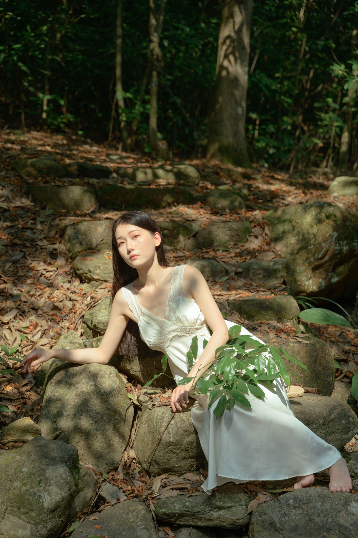 小月 – 《夏天已到悬铃木》[28P]